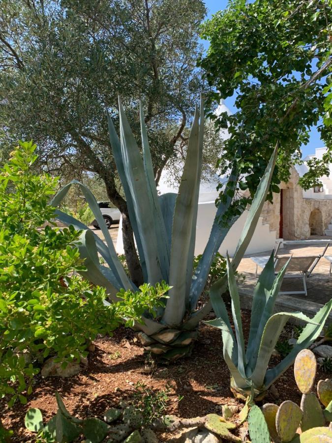 Trullo Tojo Βίλα Ostuni Εξωτερικό φωτογραφία