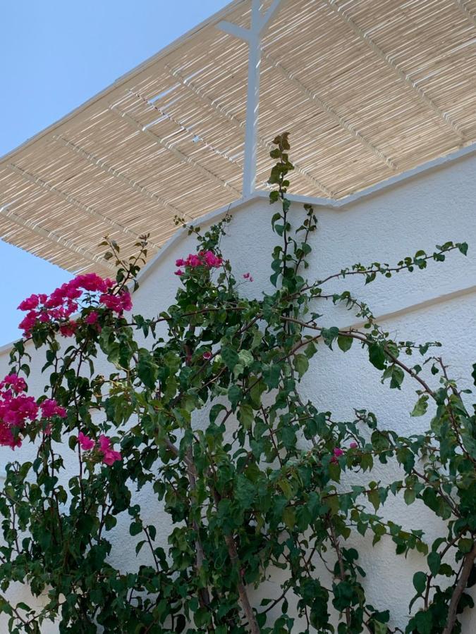 Trullo Tojo Βίλα Ostuni Εξωτερικό φωτογραφία